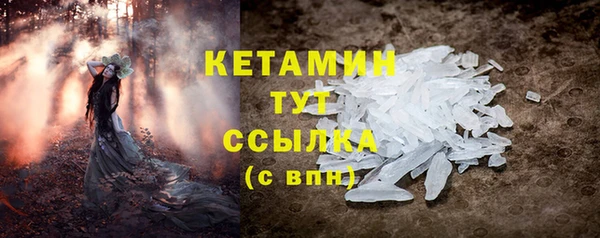 шишки Михайловск