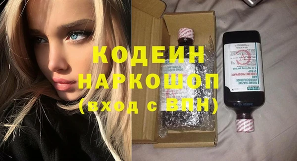 шишки Михайловск