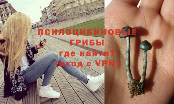 шишки Михайловск