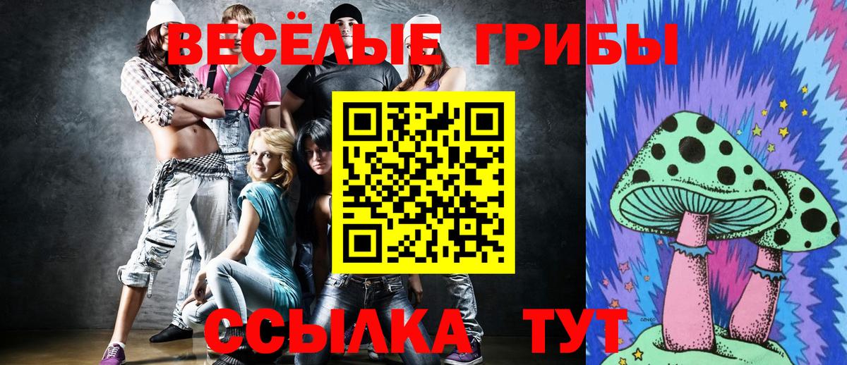 Псилоцибиновые грибы GOLDEN TEACHER Надым