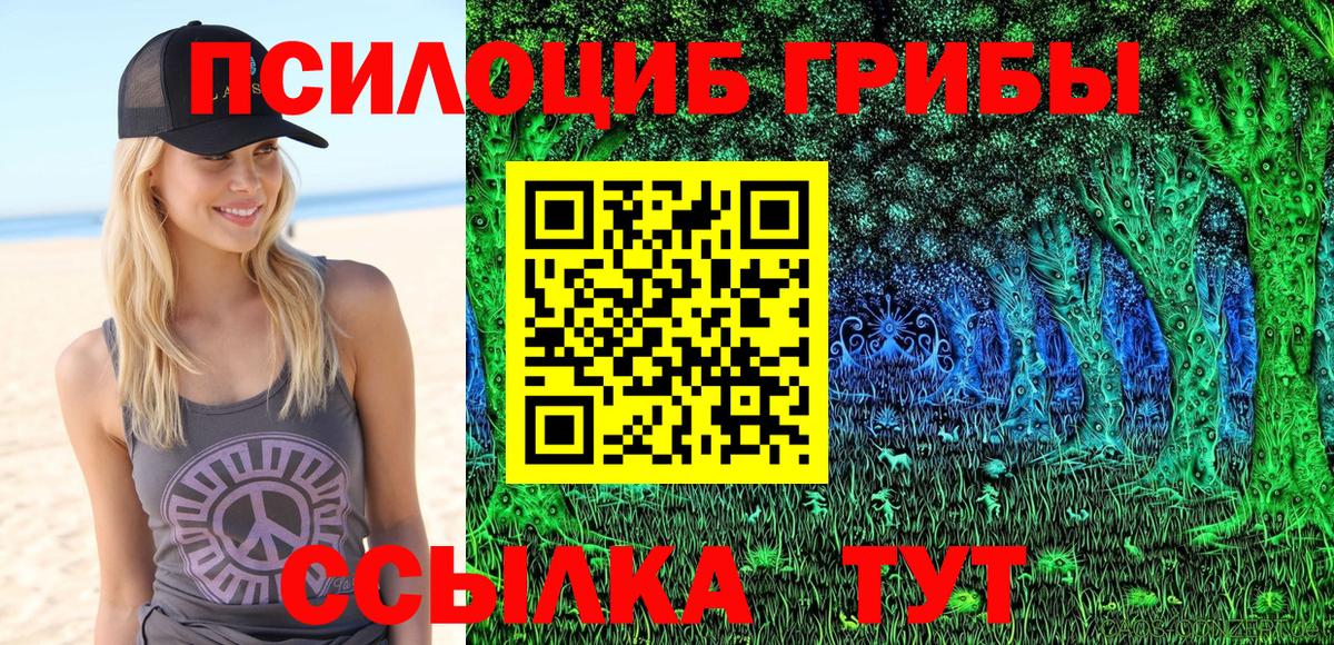 Галлюциногенные грибы Psilocybe  Надым 