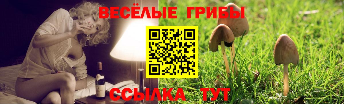 Псилоцибиновые грибы мухоморы  Галлюциногенные грибы Magic Shrooms  Надым  Вход с VPN 