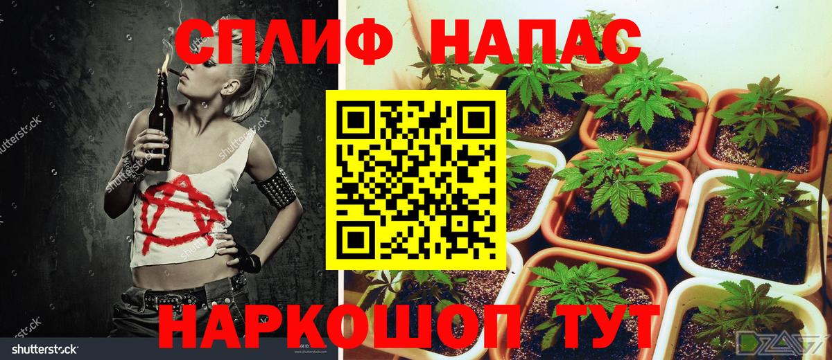 Бошки Шишки гибрид Надым